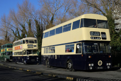 WhatsApp-Image-2025-01-26-at-15.19.18-1