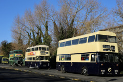 WhatsApp-Image-2025-01-26-at-15.19.18