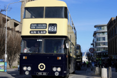 WhatsApp-Image-2025-01-26-at-15.19.19-11