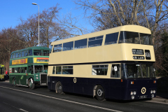 WhatsApp-Image-2025-01-26-at-15.19.19-8