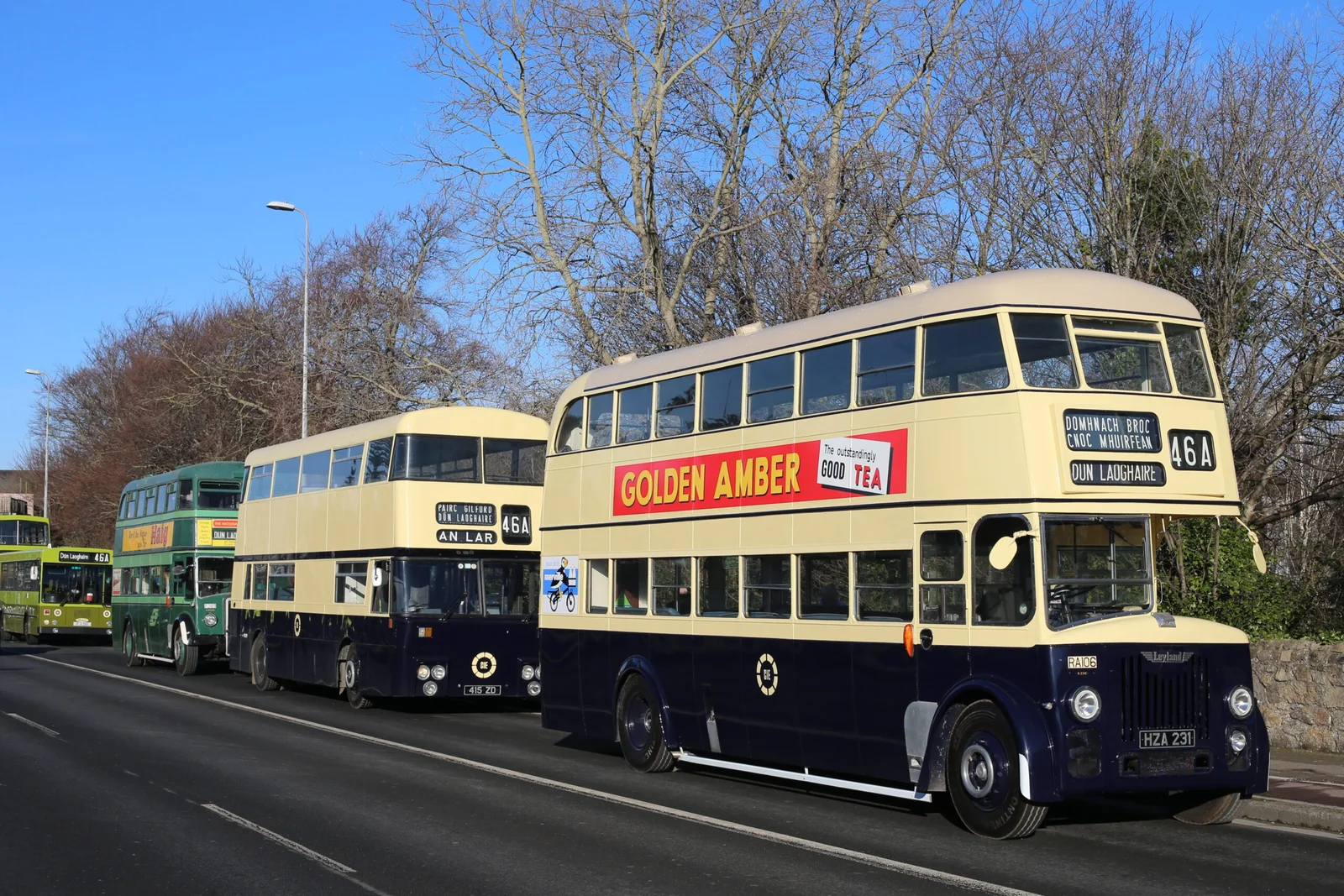 Vintage navy and cream Leyland double-decker, Golden Amber tea advertisement